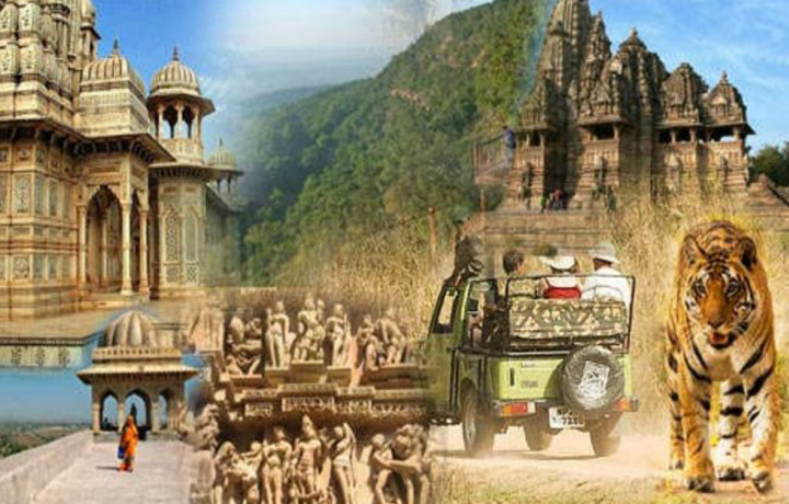 Gujarat Group Tour Package